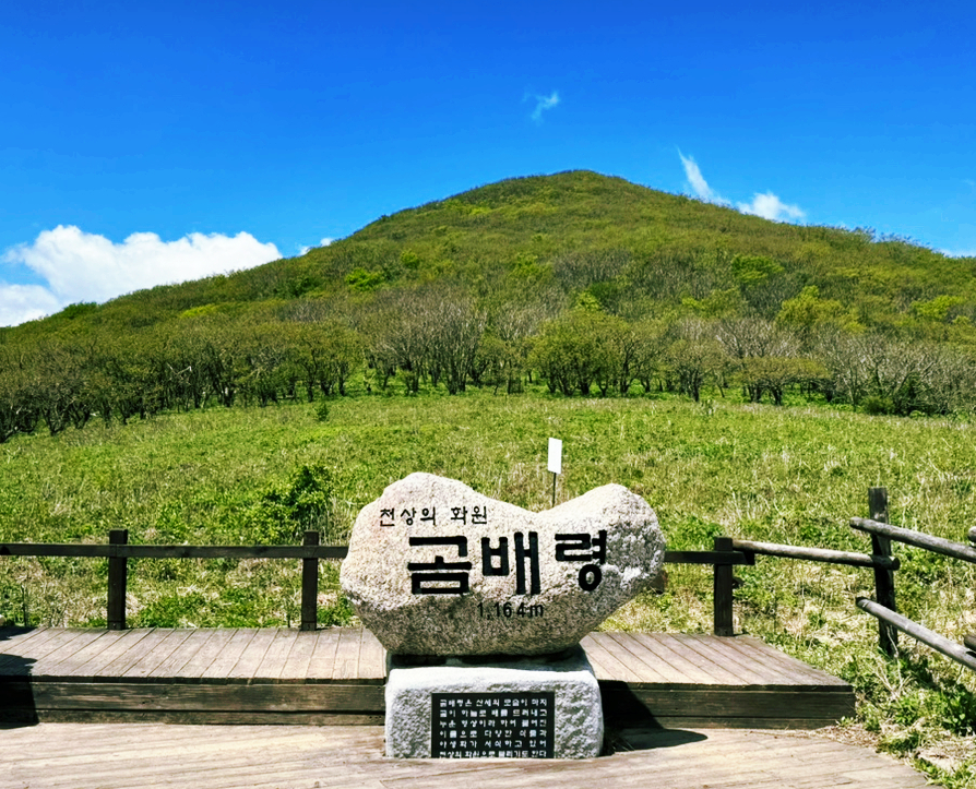 점봉산 곰배령