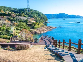 통영 연대도 만지도 당일치기 여행_3