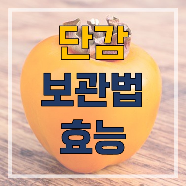  단감 보관법과 단감 효능 및 다이어트 알아보기