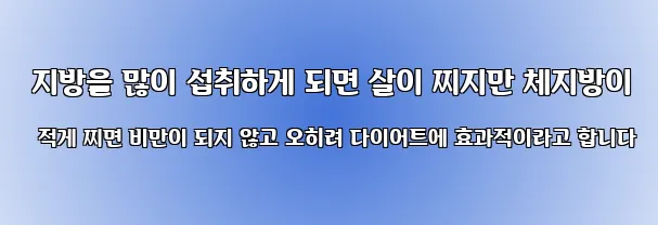  지방을 많이 섭취하게 되면 살이 찌지만 체지방이 적게 찌면 비만이 되지 않고 오히려 다이어트에 효과적이라고 합니다