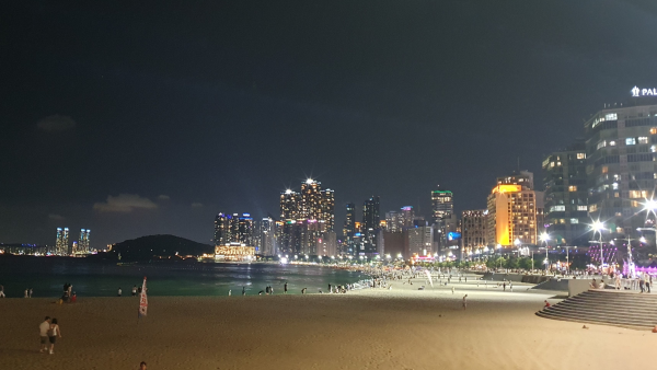 해운대 야경 애견동반 야간 산책