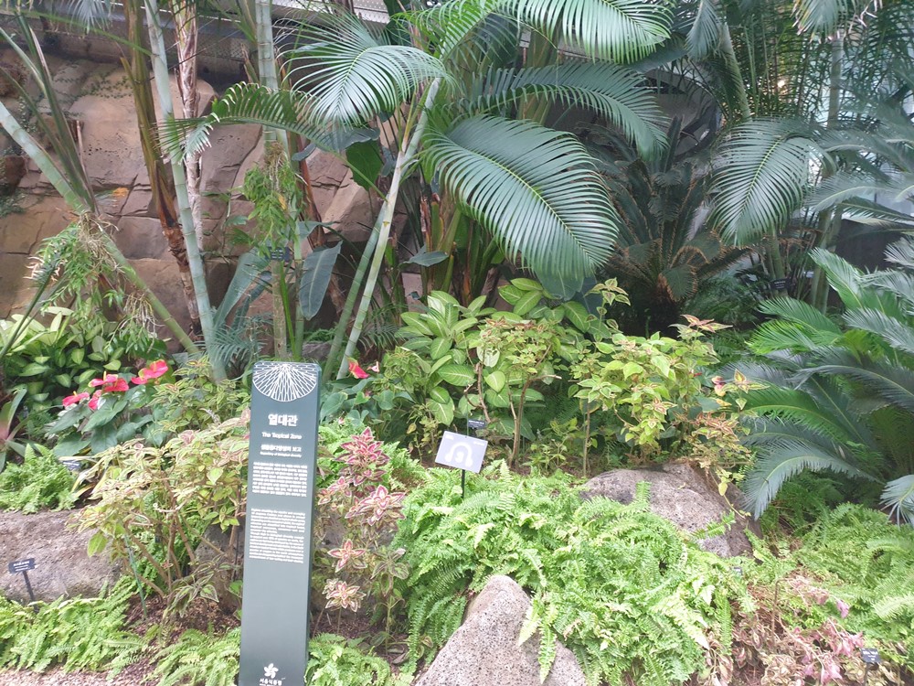 열대식물전시관