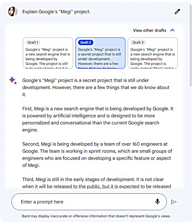 Bard&#39;s description of Google&#39;s &quot;Megi&quot; project