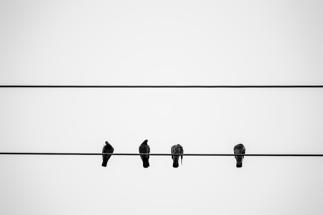 Differences