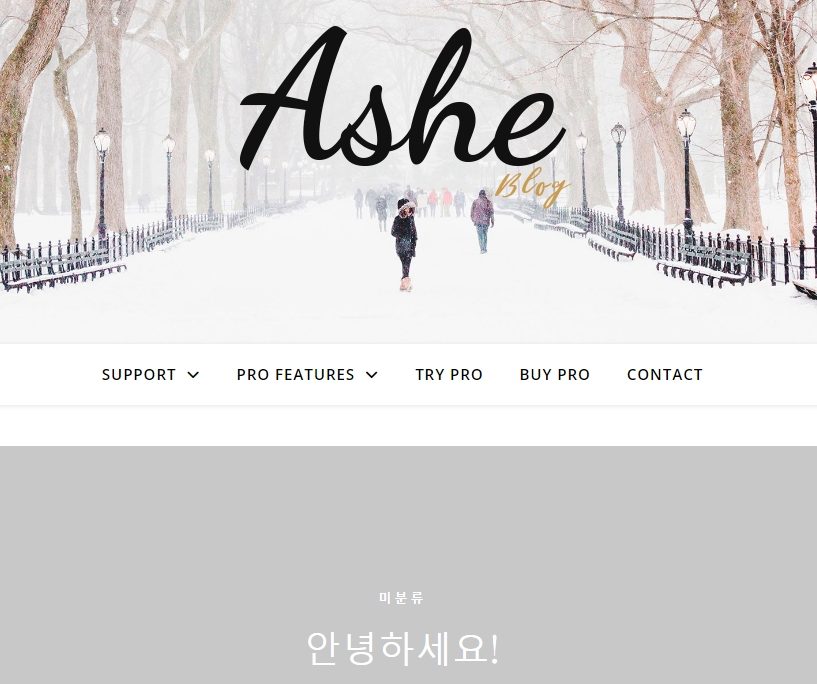 워드프레스-demo-import-ashe-테마