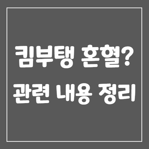  킴부탱 혼혈? 관련 내용 정리