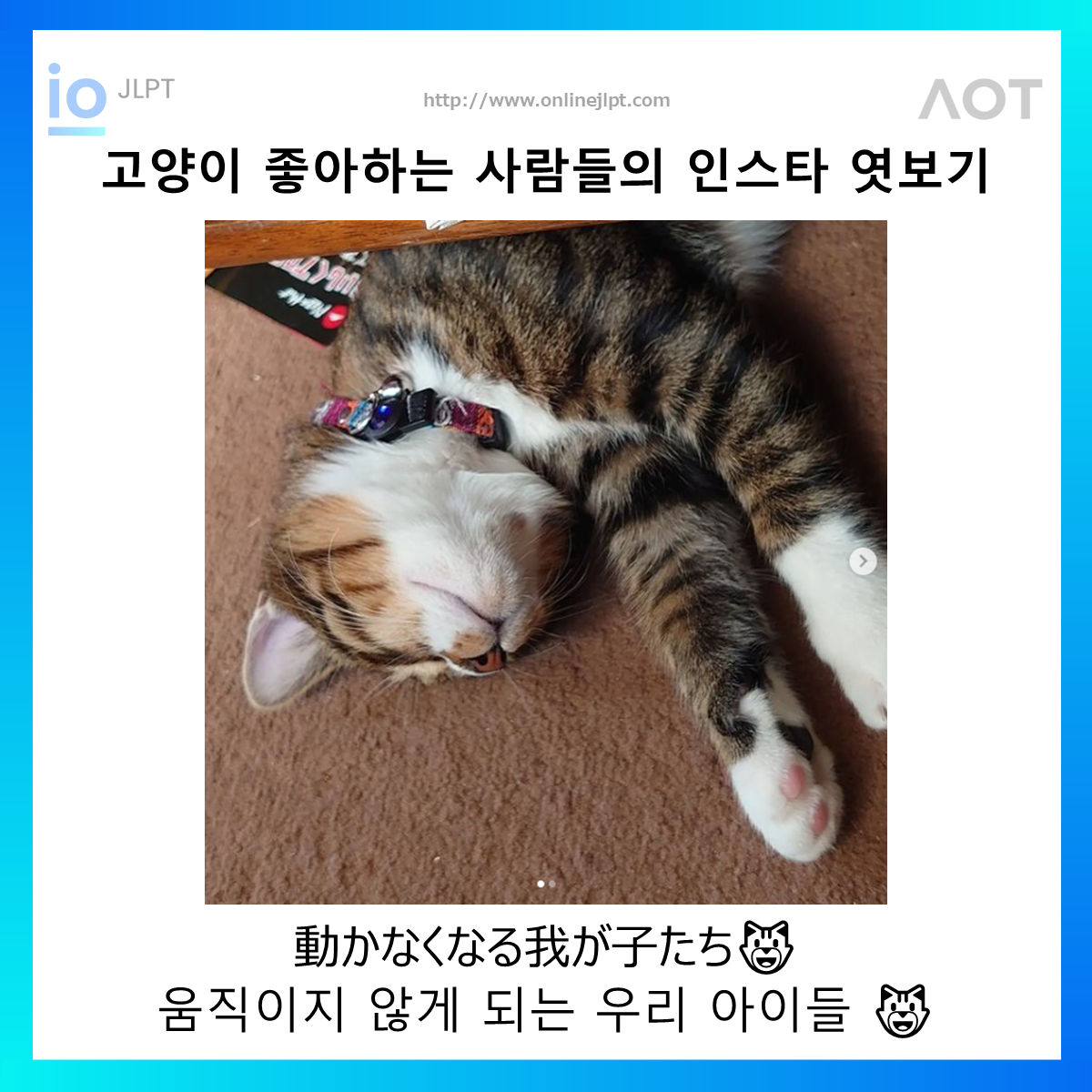  ［인스타 엿보기］動かなくなる我が子たち