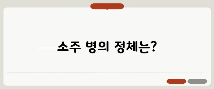 소주 한 병은 몇 ml? 정확한 용량은?