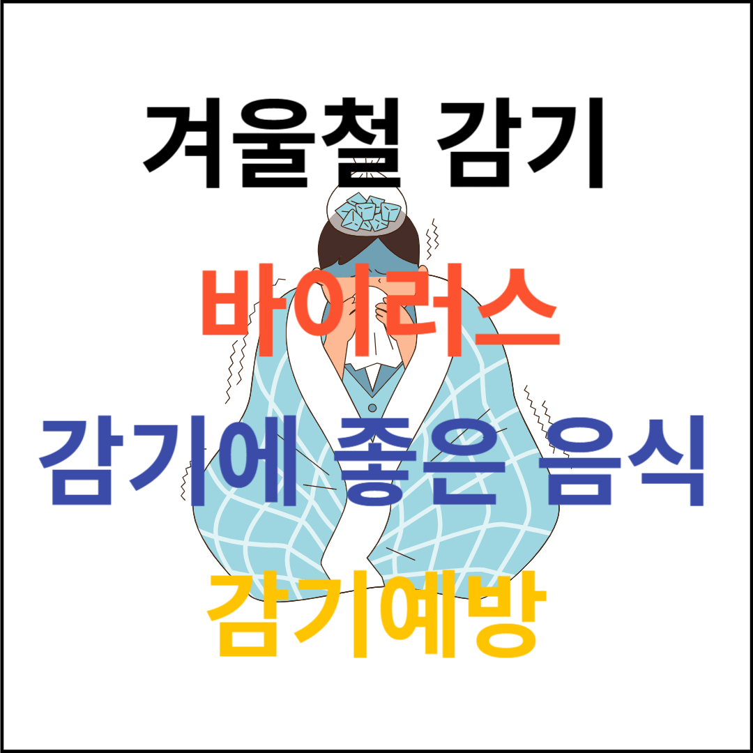 감기에 좋은 음식