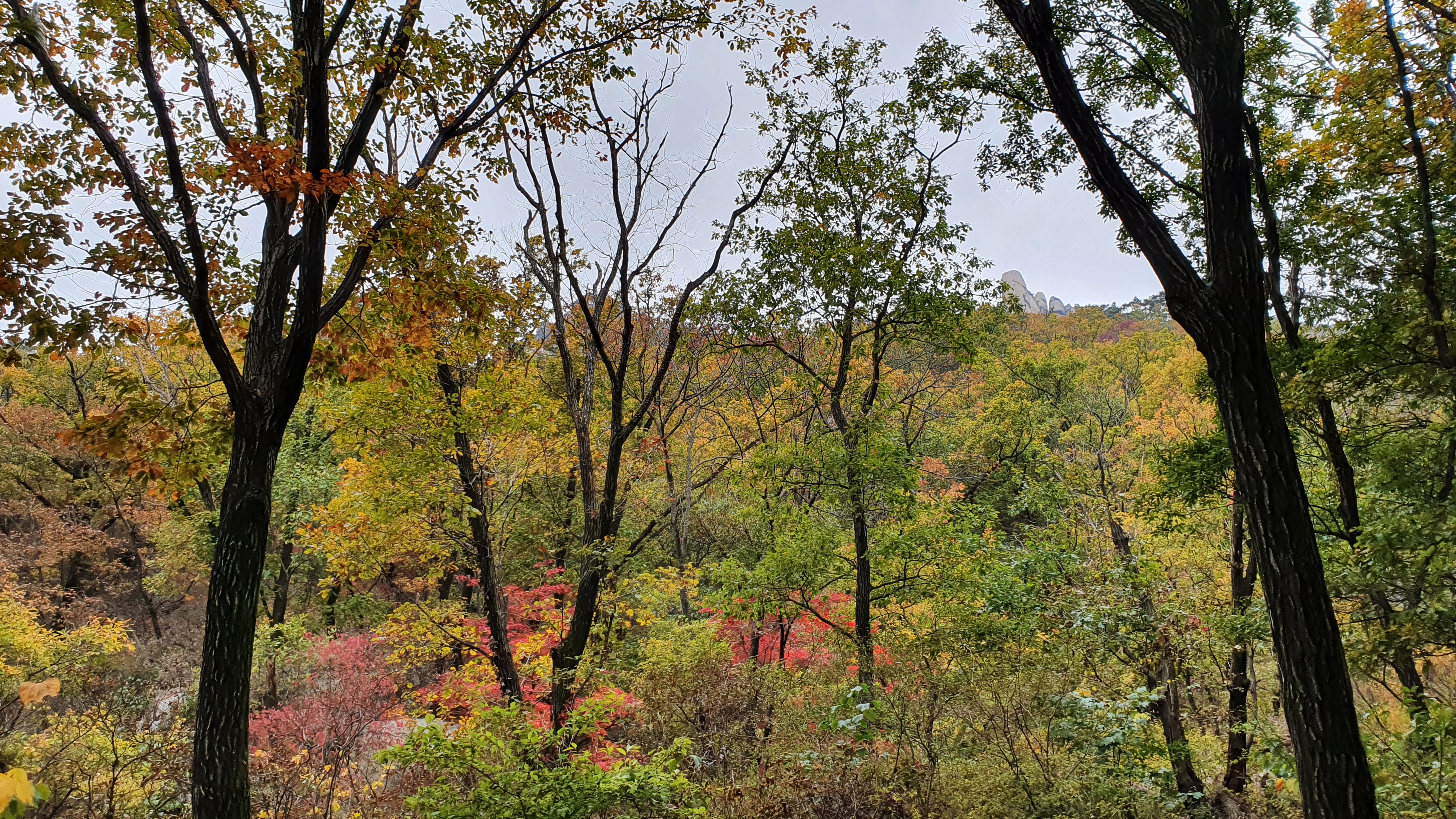 북한산 (2020-10-21) 22