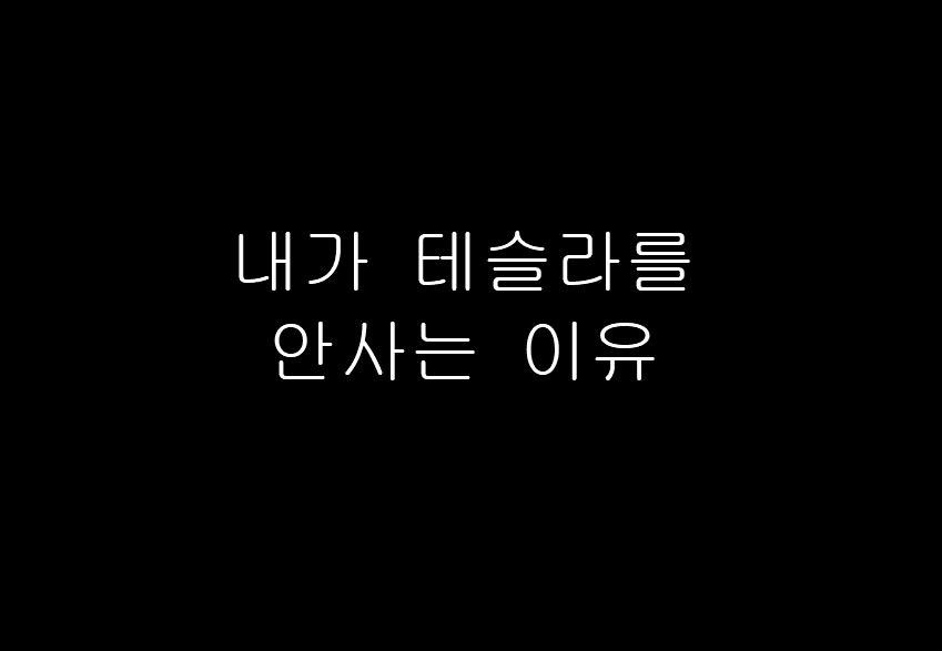  내가 테슬라를 안사는 이유