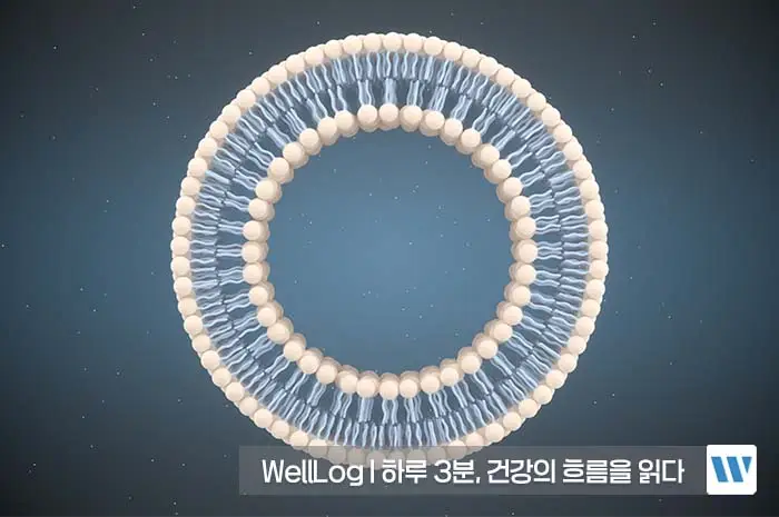 리포좀 비타민C 효능 복용법