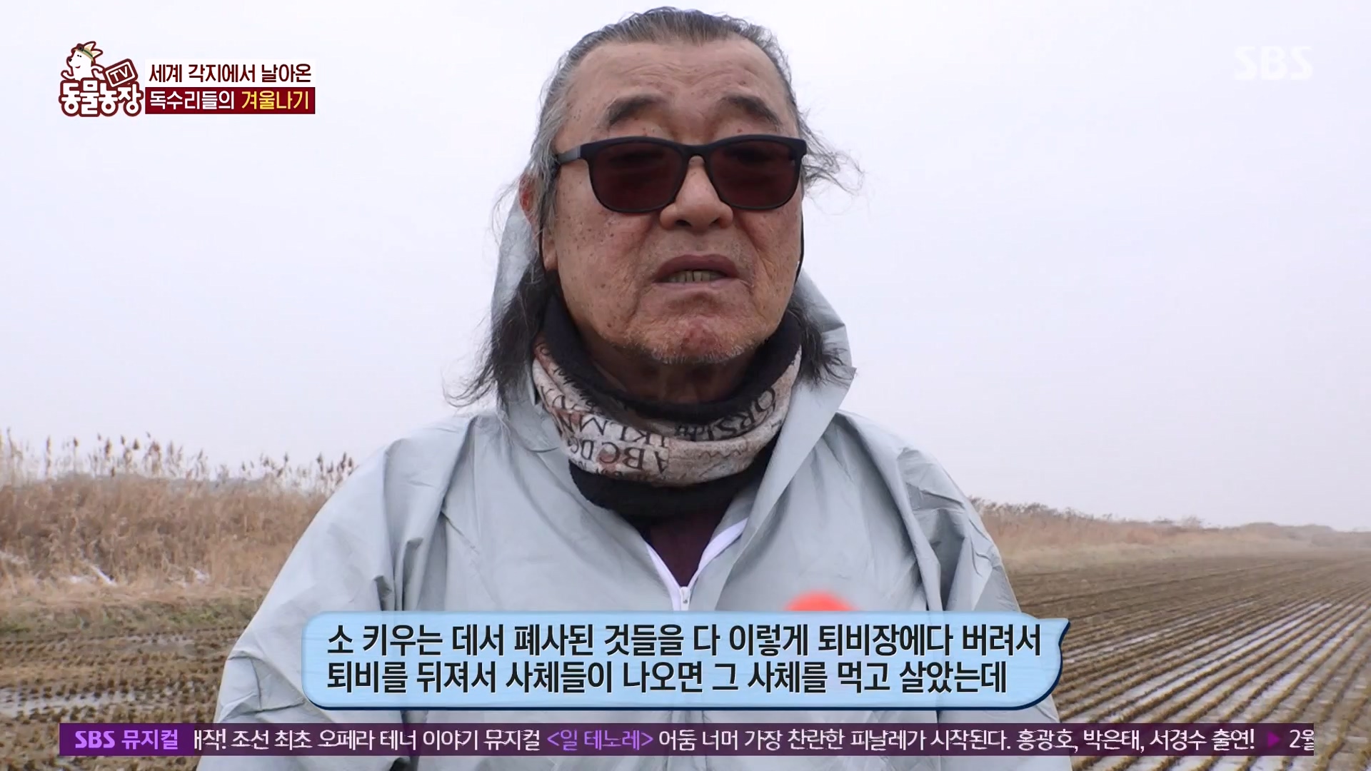 TV 동물농장.E1157.240204p-NEXT.mp4_20240204_172403.999.jpg
