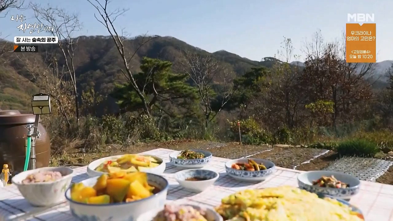 나는 자연인이다.E582.231130p-NEXT.mp4_20231130_200816.927.jpg