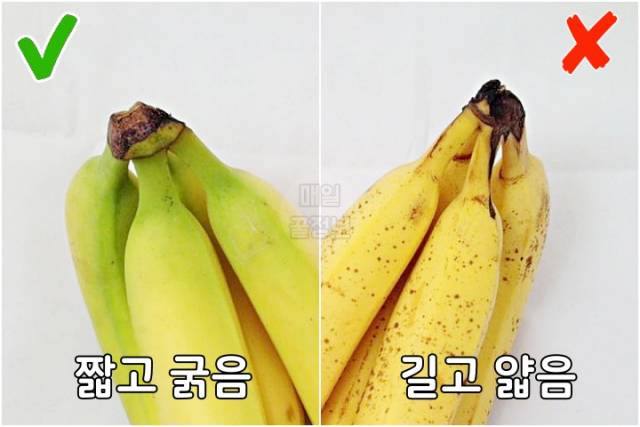 맛있는 바나나 고르는법,바나나 보관법