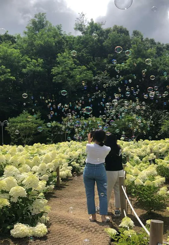 프레이밍