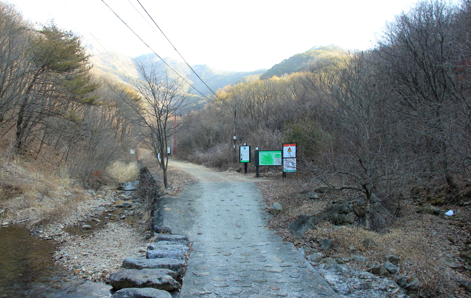보은 속리산 천왕봉 - 서원리 소나무 2