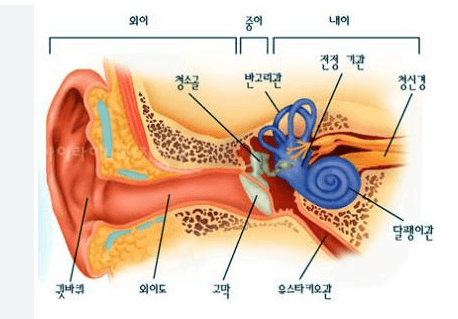 귀는 외이&#44; 중이&#44; 내이로 이루어져있는데 메니에르병은 달팽이관&#44; 전정&#44; 반고리관을 지칭하는 내이의 기능이상으로 발생합니다.
