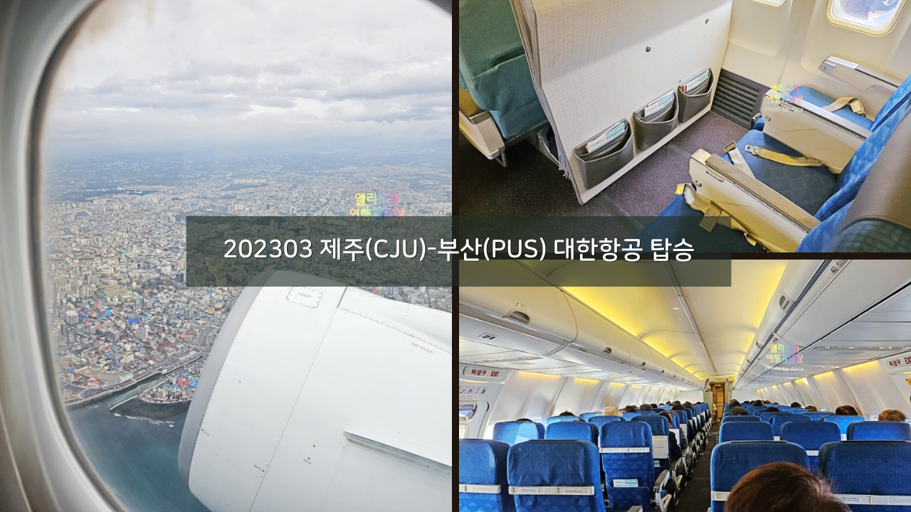 202303 제주(CJU)-부산(PUS) 대한항공 탑승&#44; 제주 성이시돌 목장 우유샌드