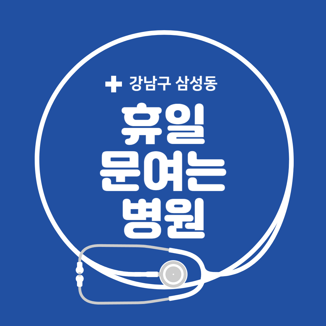 서울 강남구 삼성동 일요일 진료 휴일 문 여는 병원