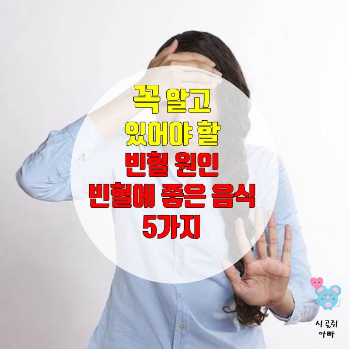 빈혈에좋은음식