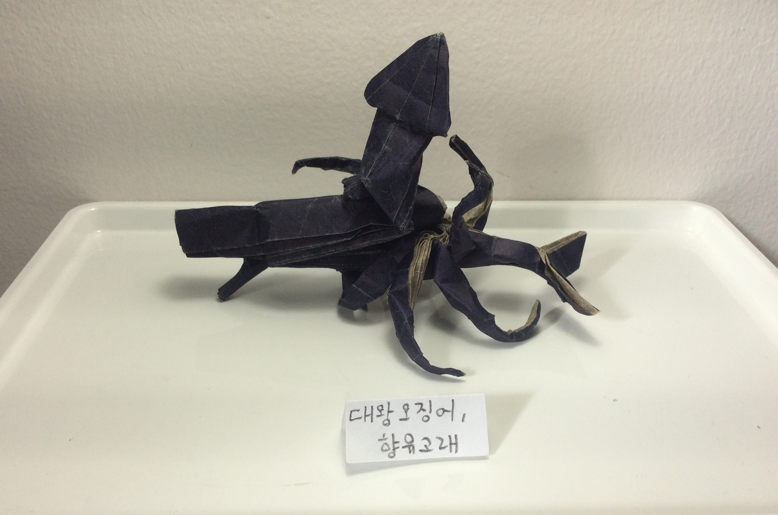  [종이접기] 대왕오징어와 향유고래