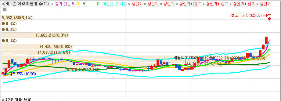 비보존 제약 일봉