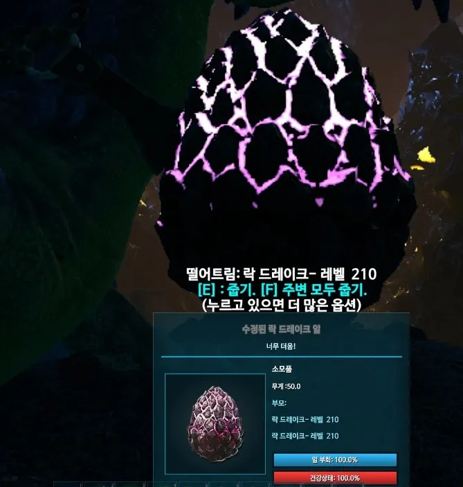 드레이크 알