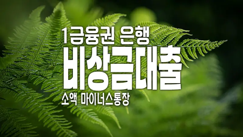무직자 소액대출 1금융권 은행 마이너스통장 비상금대출 요약 정리
