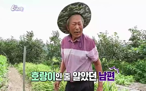 [7613회] 6시 내고향 - KBS7613회] 6시 내고향.ts_20220913_202923.105.jpg