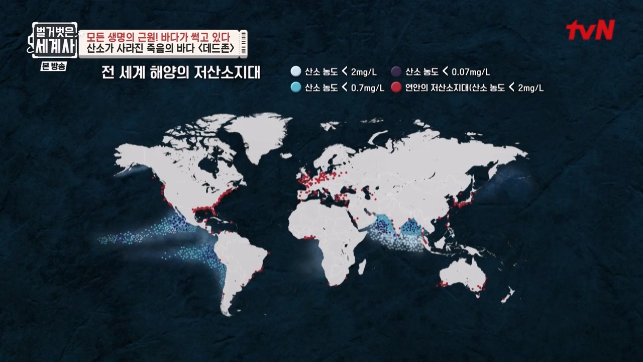 벌거벗은 세계사.E90.230315p-NEXT.mp4_20230419_212559.947.jpg