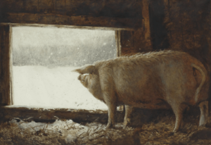 Jamie Wyeth의 작품 Winter Pig