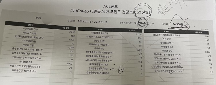  chubb 나만을 위한 포인트 건강보험 20년 갱신형
