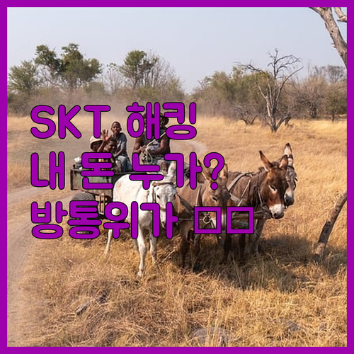 SKT 해킹, 내 돈 누가 훔쳐가나?