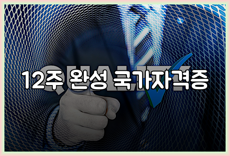 12주 완성 국가자격증