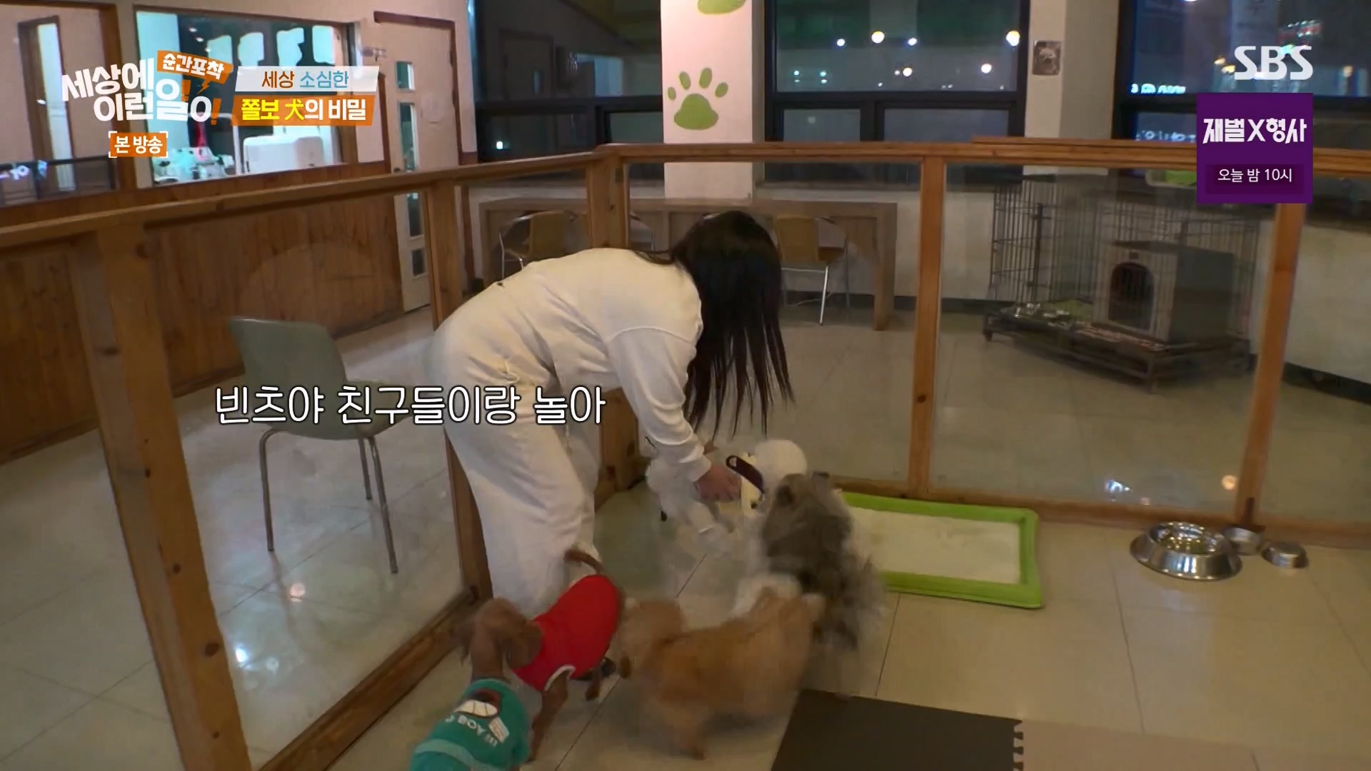 순간포착 세상에 이런일이.E1263.240203p-NEXT.mp4_20240204_164018.347.jpg