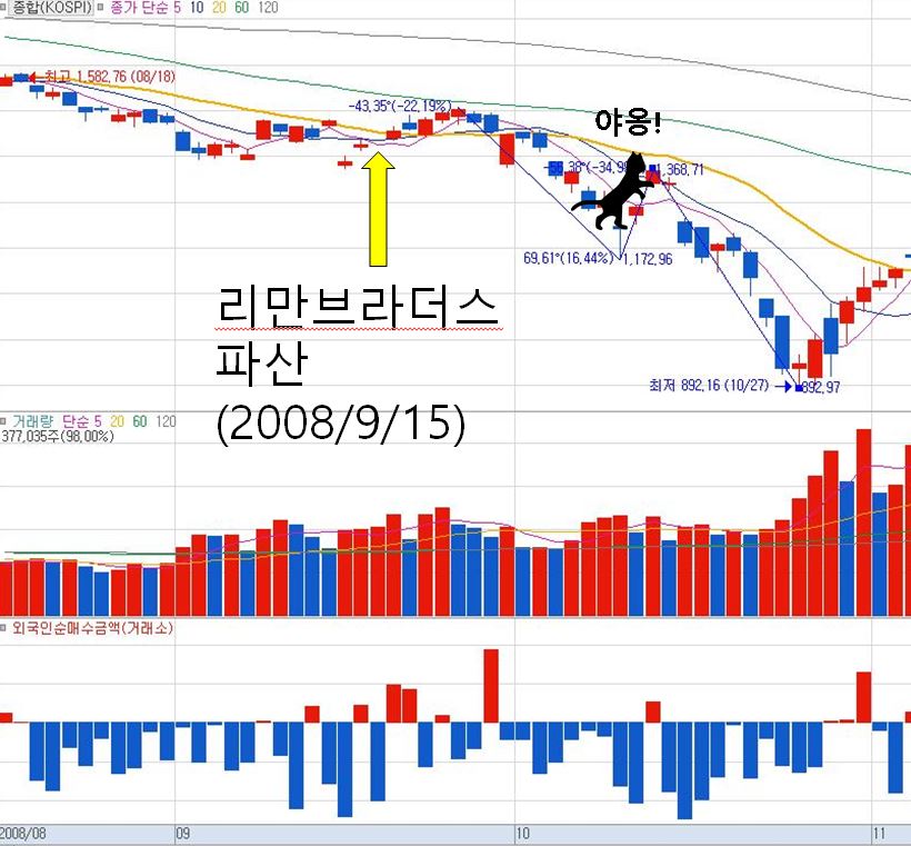 데드 캣 바운스란? (Dead cat bounce) 데드 캣 바운스란? (Dead Cat Bounce)
