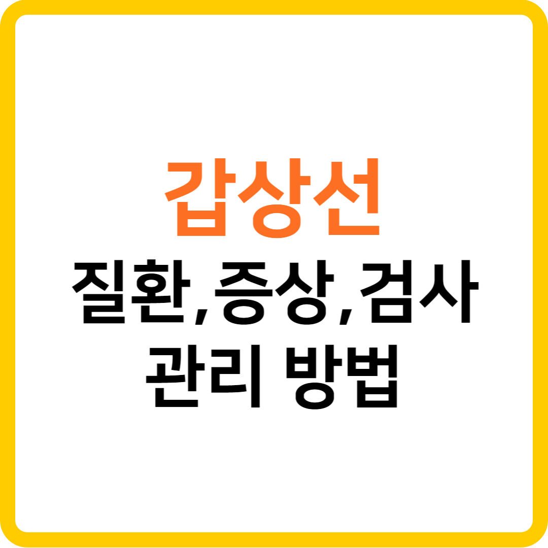 갑상선의 기능, 주요 질환, 검사 방법