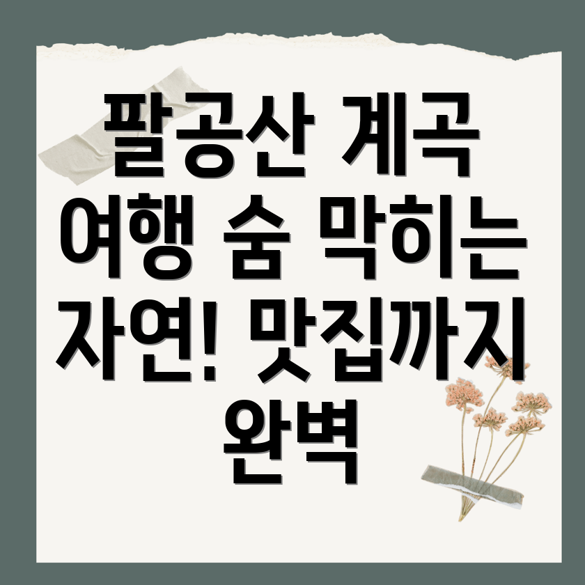 팔공산 계곡 1박