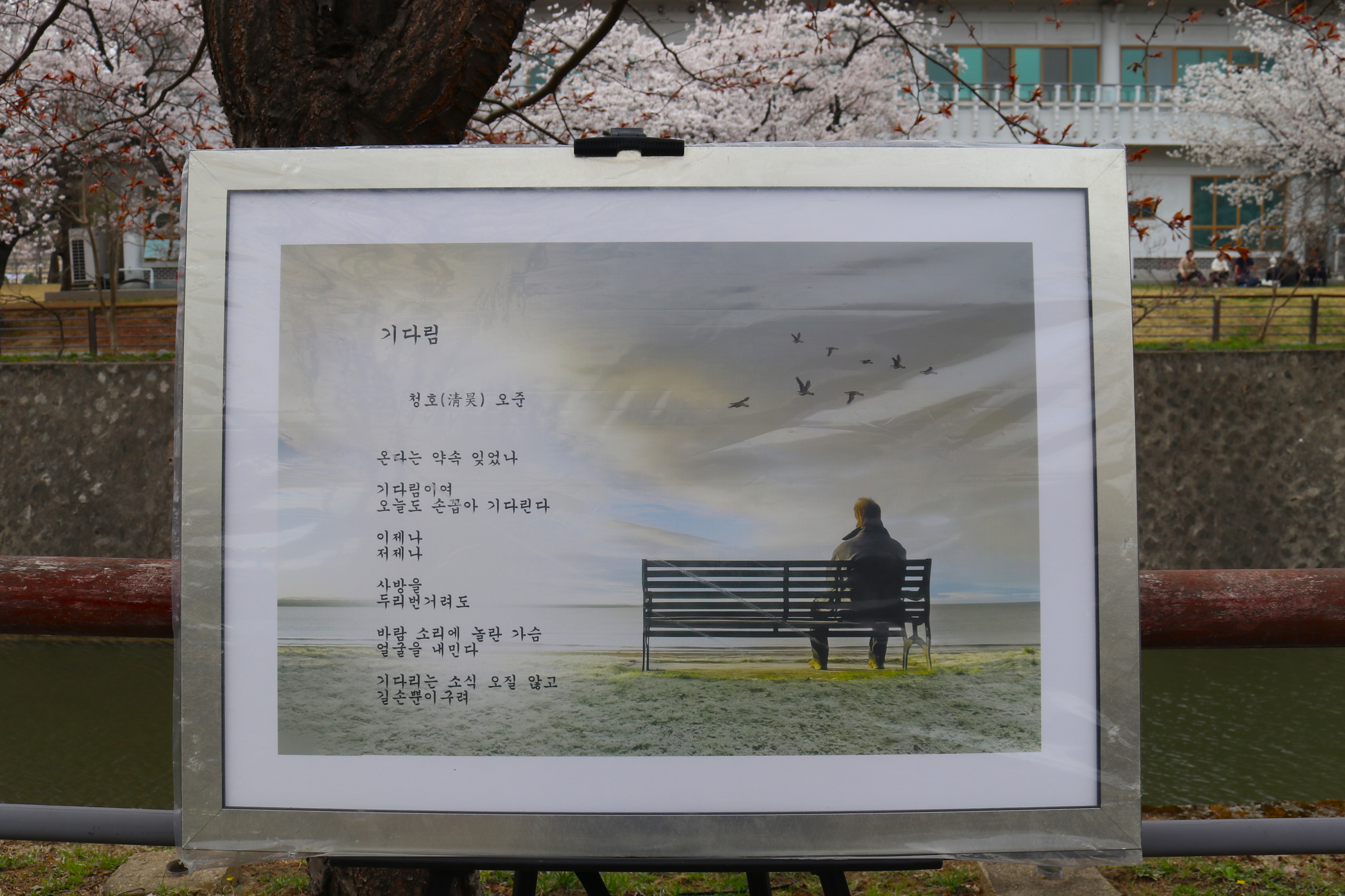 청호 이미지