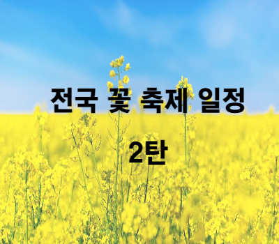 전국 꽃 축제 일정 2편