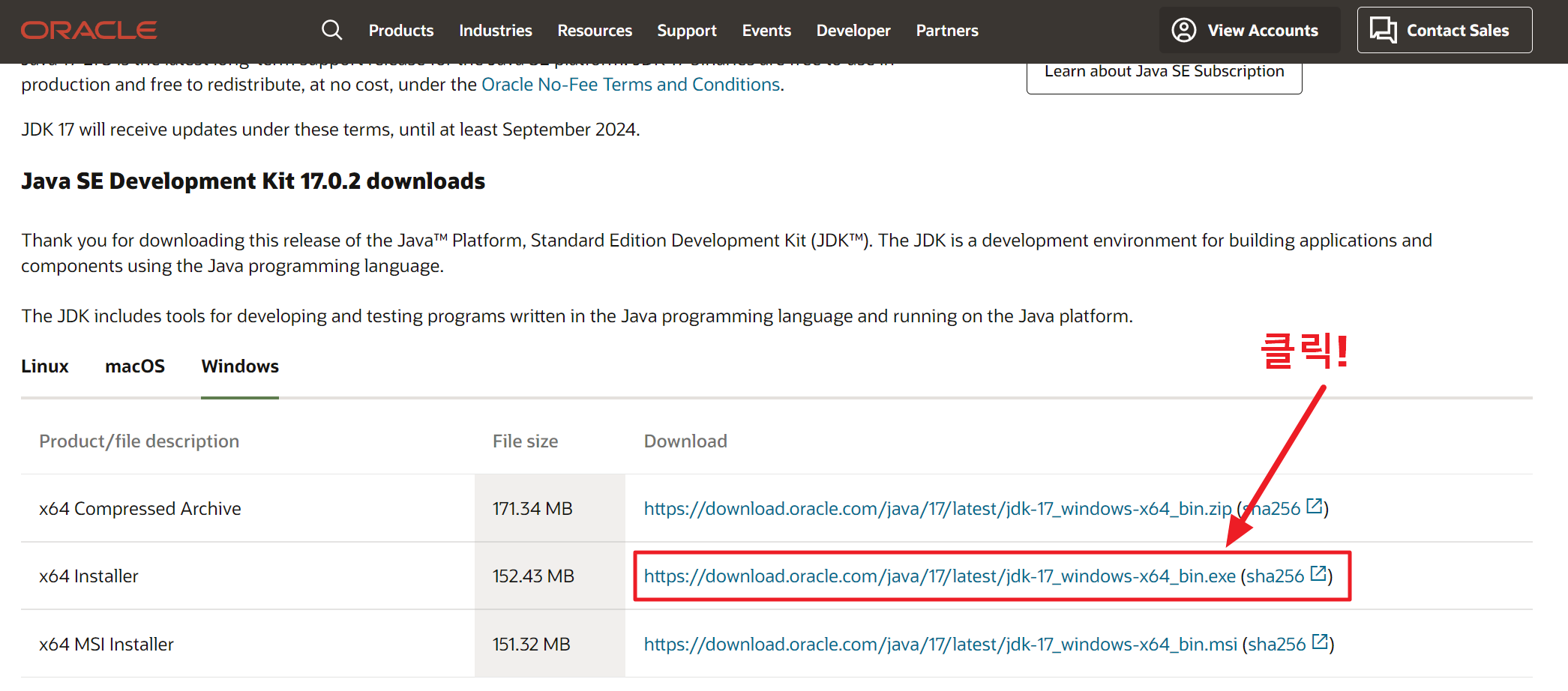  [Java] 자바 버전 변경하는 방법 ( JDK 8 -> JDK 17)