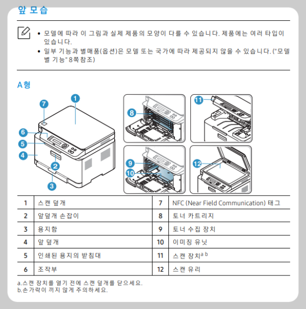 앞모습