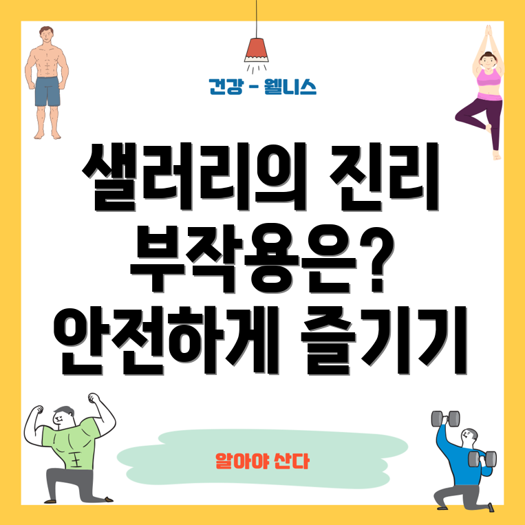 샐러리 효능