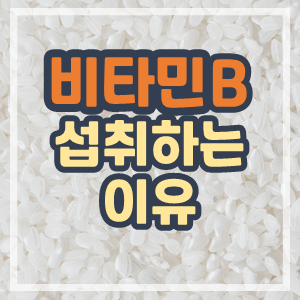 비타민B-포스팅-썸네일