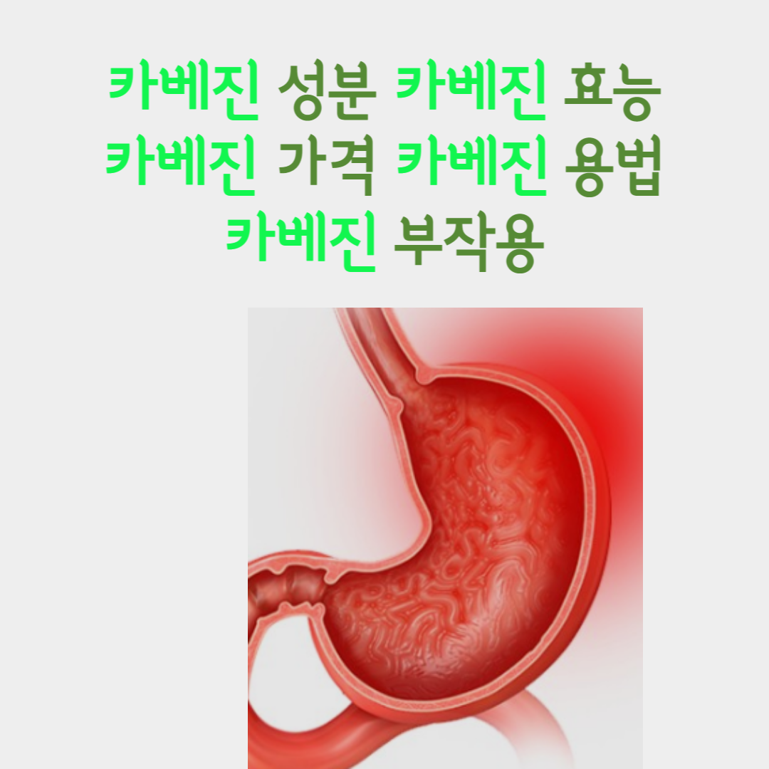 카베진 성분 카베진 효능 카베진 가격 카베진 용법 카베진 부작용