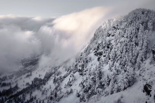 겨울 산의 풍경