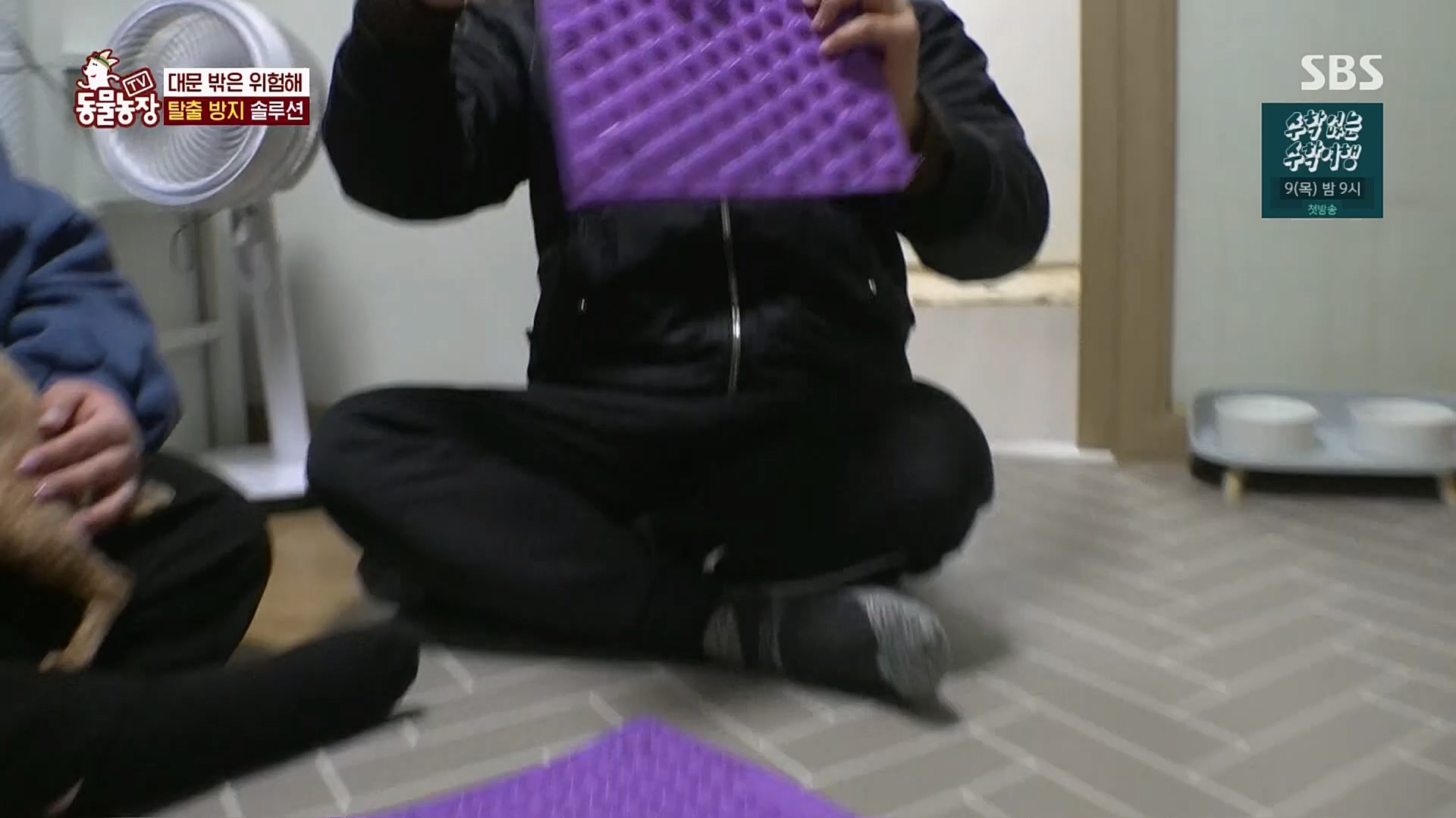 TV 동물농장.E1109.230226p.H264-F1RST.mp4_20230226_161913.867.jpg