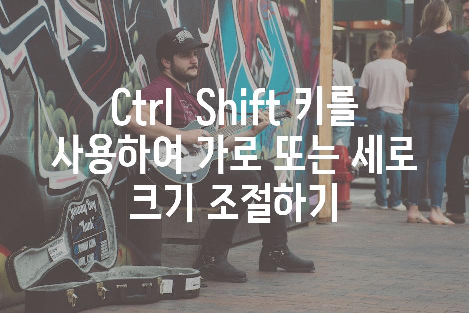 Ctrl Shift 키를 사용하여 가로 또는 세로 크기 조절하기