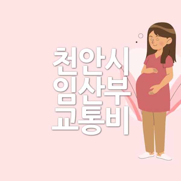 천안시 임산부 교통비 신청 방법 &#124; 대상 &#124; 조회 &#124; 를 알려드립니다